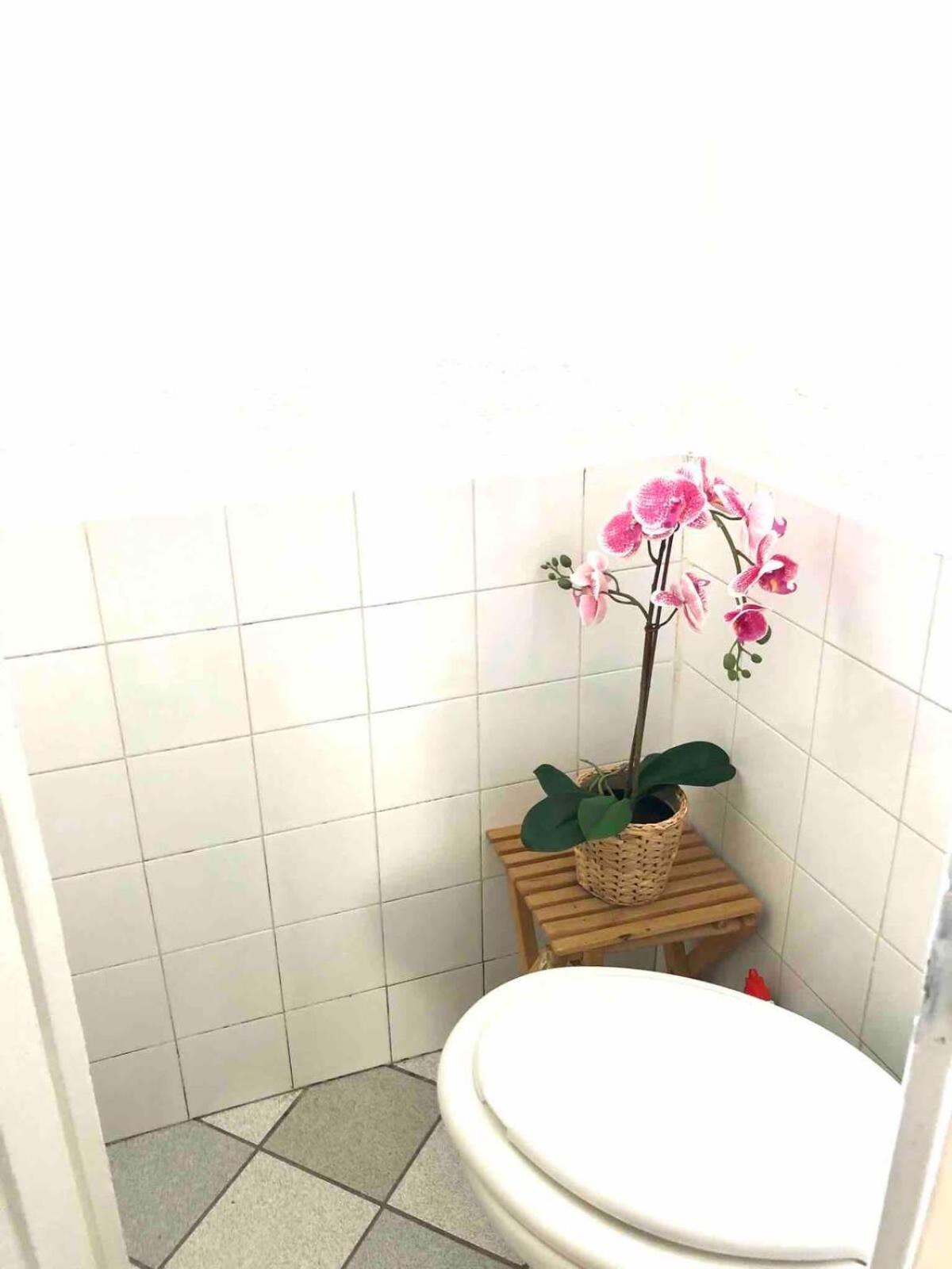 Apartament Cosy Fontainebleau Zewnętrze zdjęcie